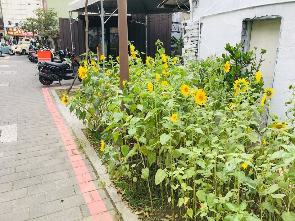 台南美食-一心二葉生活喫茶家民族赤崁店赤崁樓邊南投茶山台灣茶本土茶包氣息濃厚台南美食-一心二葉生活喫茶家民族赤崁店赤崁樓邊南投茶山台灣茶本土茶包氣息濃厚