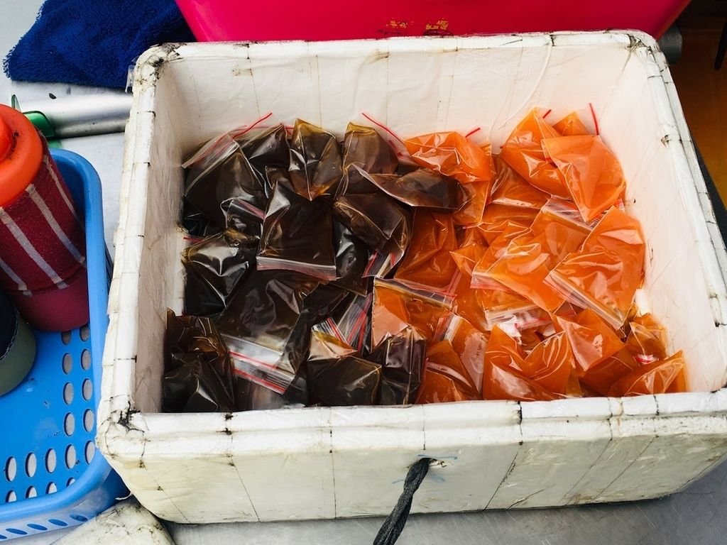 台南美食隱藏排隊夏林蔥油餅台南人知道好吃的下午茶點心一份加蛋35元搞定