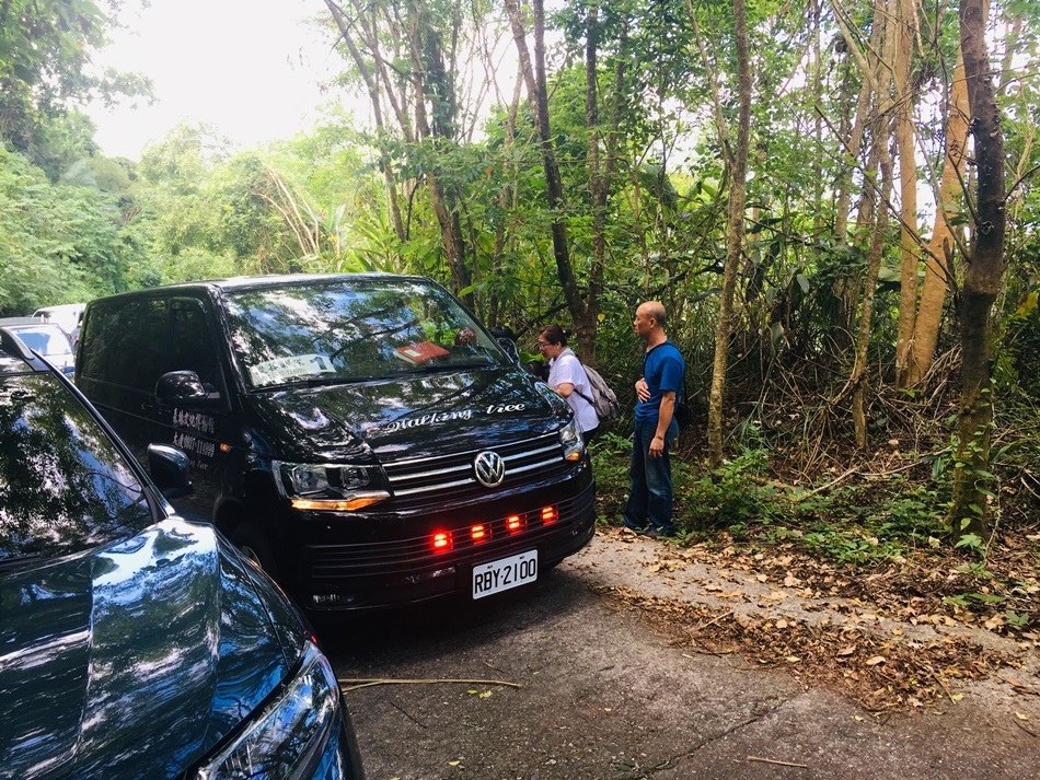 台東旅遊秘境-鸞山部落會走路的樹鸞山森林博物館大到讓人震撼的會移動的樹、自己烤竹叉山豬肉、極具挑戰的森林攀登、品嚐原住民風味餐和體驗大臼搗麻糬