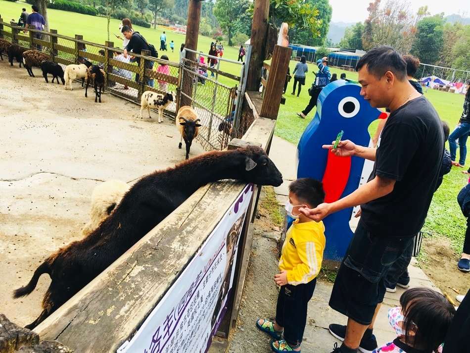 親子兒童節年假最好的去處嘉義中埔獨角仙休閒農場超大草地一票玩到底遊樂設施，獨甲仙DIY動作做羊駝、梅花鹿媲美小型動物園