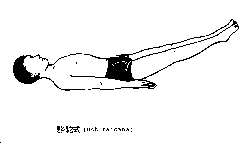 ustrasana.gif