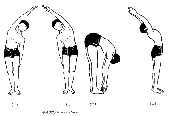 padahastasana.gif