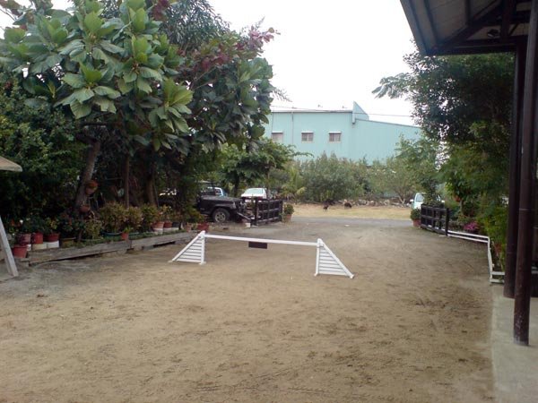 DSC02535.jpg