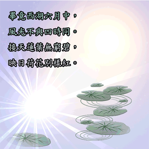 夏荷.gif