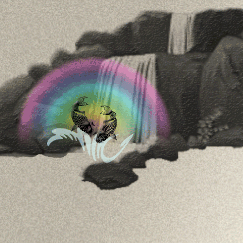 魚躍龍門.gif