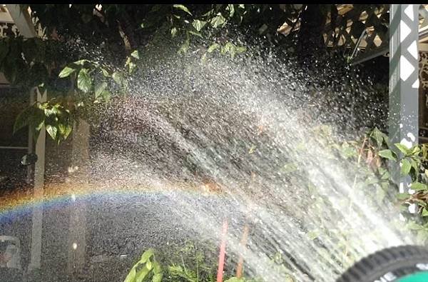 水彩虹.jpg