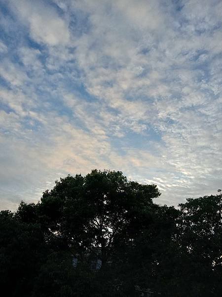 0609拍攝 雲と蓮花