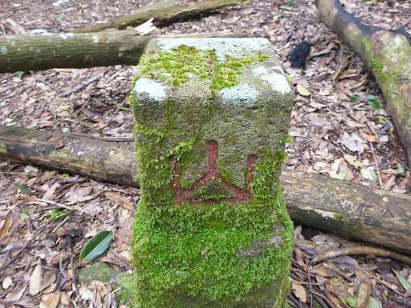 P1030740 (640x480).jpg