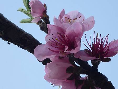 P1040183 (640x480).jpg