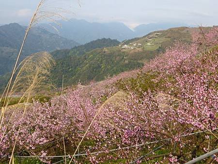 P1040187 (640x480).jpg