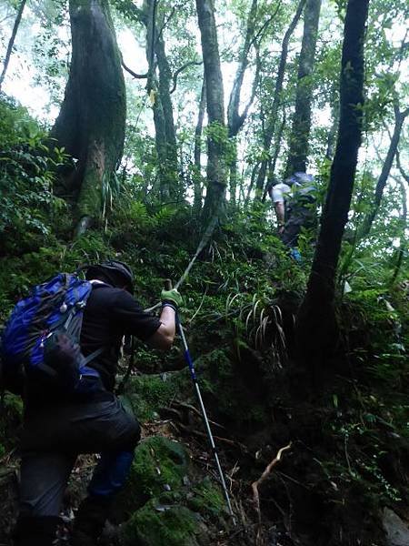 P1050912 (480x640).jpg