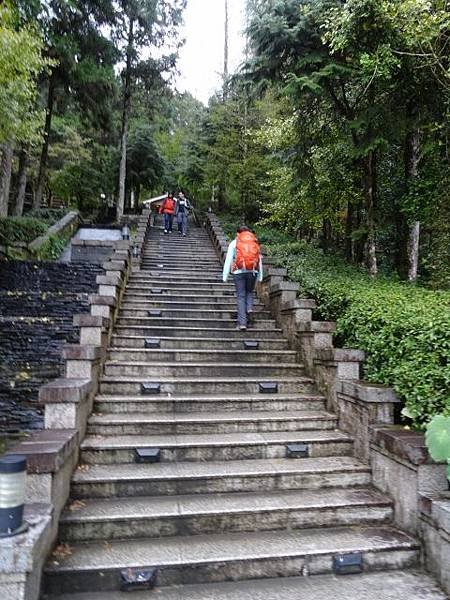 DSC00647 (480x640).jpg