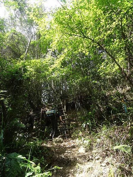 DSC00037 (480x640).jpg