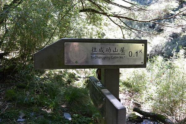 DSC_1991 (640x427).jpg