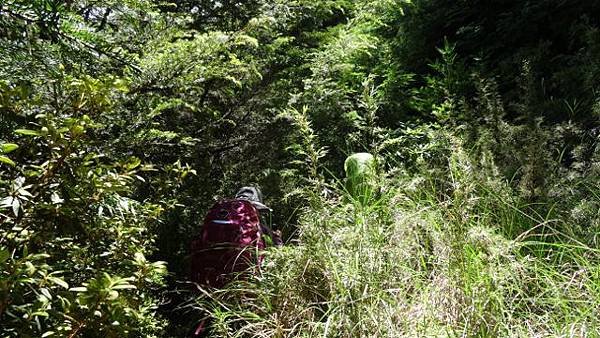 DSC00053 (640x360).jpg