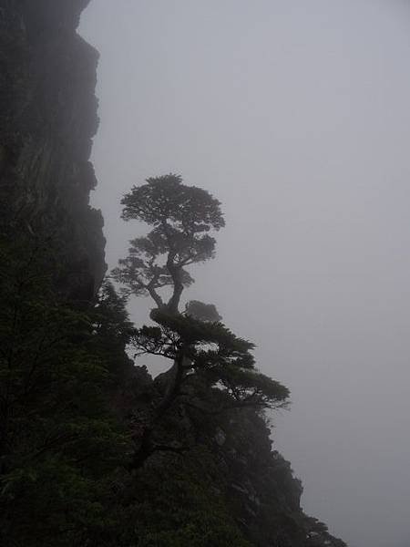 DSC00120 (480x640).jpg