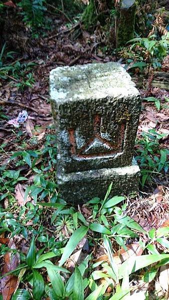 DSC_4594 (360x640).jpg