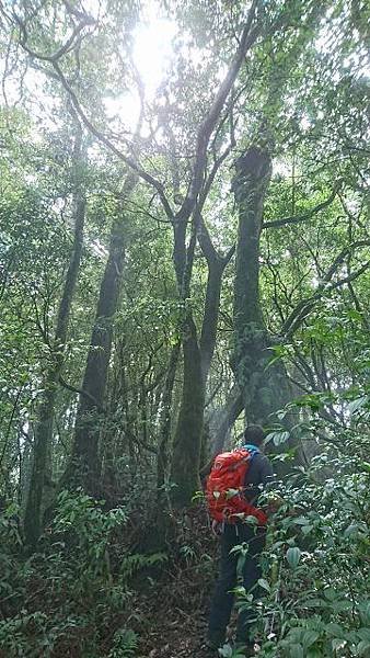 P8060123(360x640).jpg
