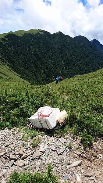 P8110479 (360x640).jpg