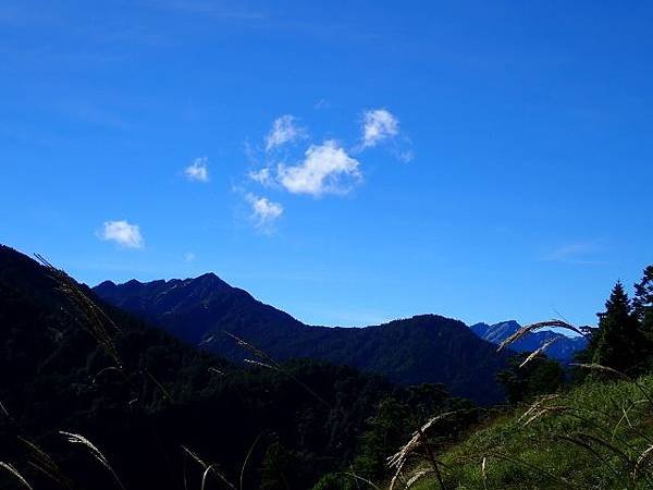 P9230717 (640x480).jpg
