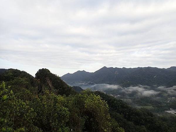 P3100258 (640x480).jpg