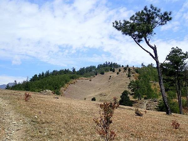 P4060566 (640x480).jpg