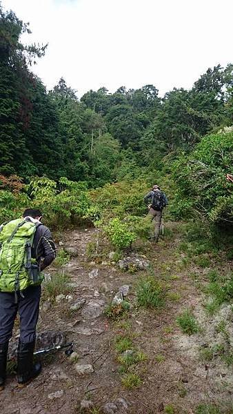 DSC_7334 (360x640).jpg