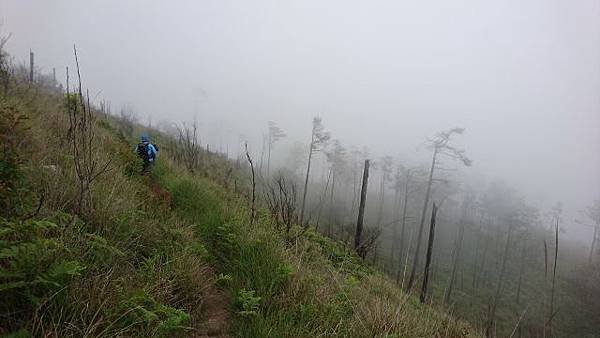 DSC_7377 (640x360).jpg