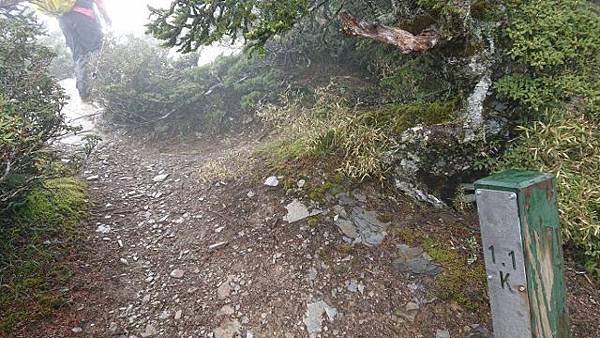 P5160141-1 (640x360).jpg