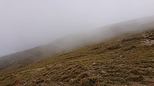 DSC_3955 (640x360).jpg