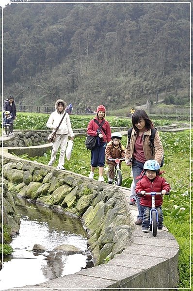 照片 402.jpg