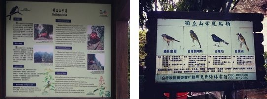 07獨立山鳥類.jpg