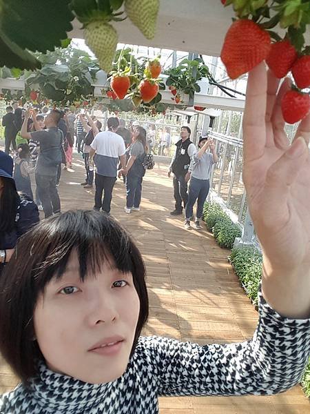 20180408_154345 (Copy).jpg