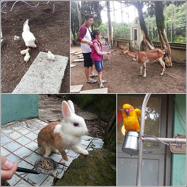 2014/10/12 內雙溪兔子餐廳11
