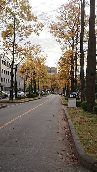 DSC_0972.JPG