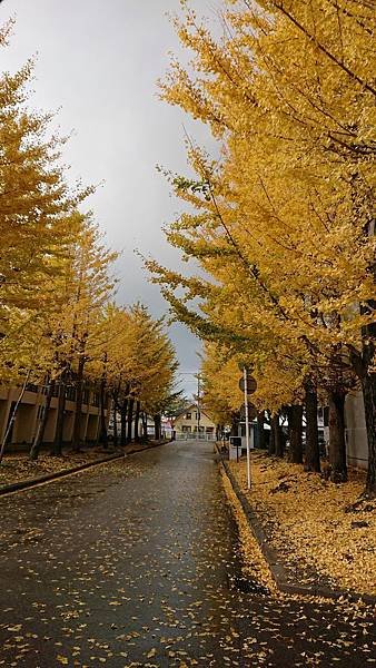 DSC_1506.JPG