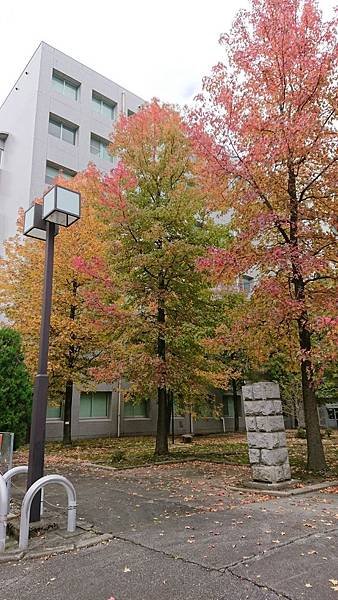 DSC_0967.JPG