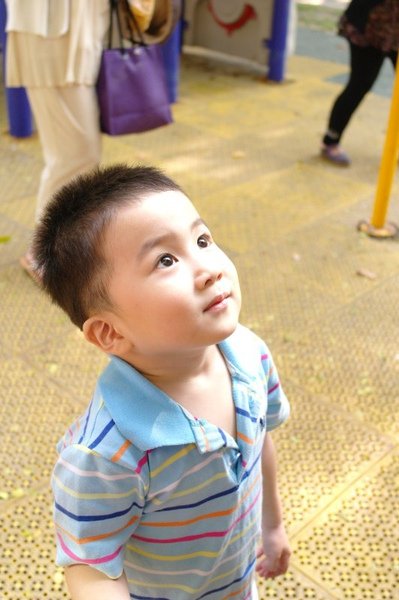 SAM_0417.jpg