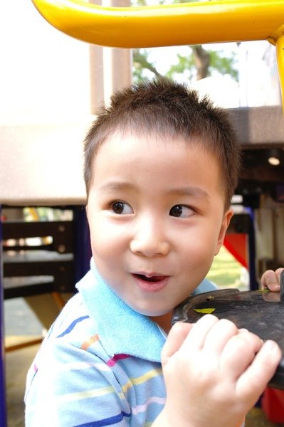 SAM_0361.jpg