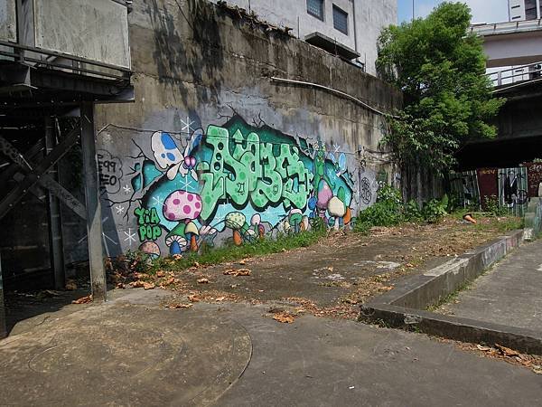 DSCN8282.JPG