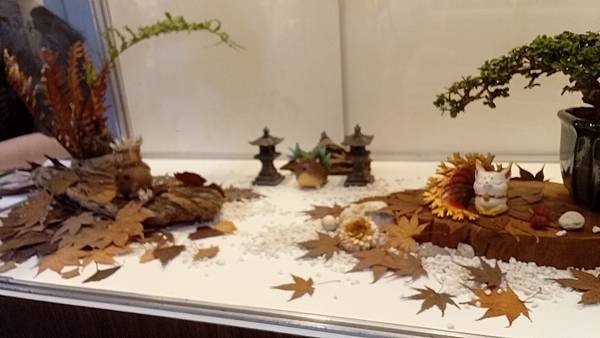 台北國際玩具創作大展半日遊