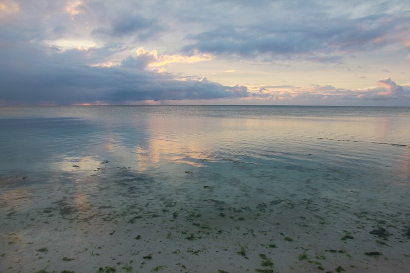 2141_8564.jpg
