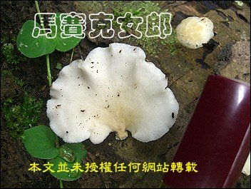 c_03.jpg