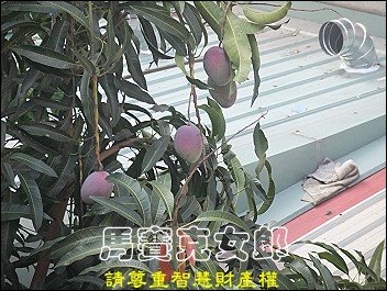 05.jpg
