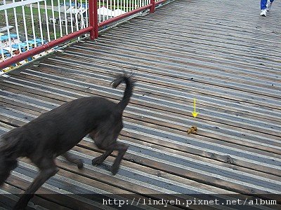 track_04.jpg