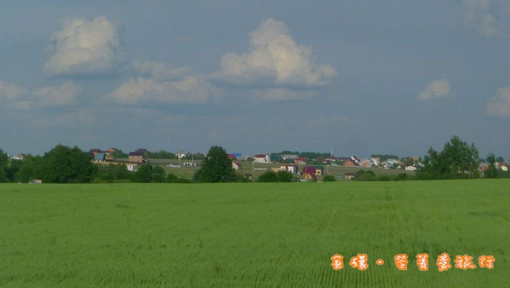 P1370495(001).jpg