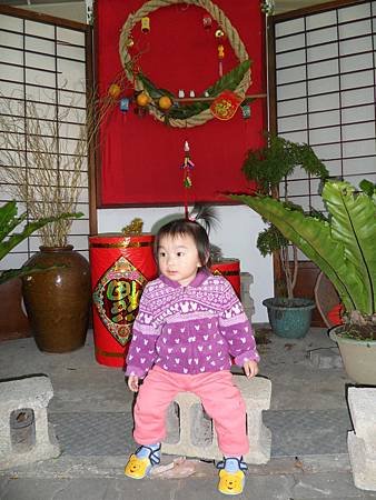 SAM_1556