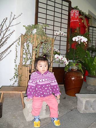 SAM_1560