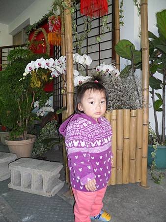 SAM_1553
