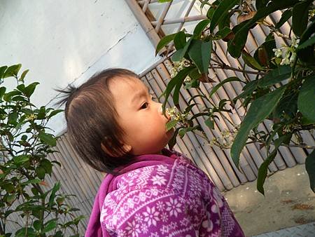 SAM_1564